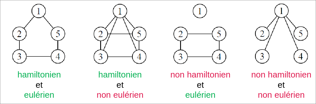Comparaisons de graphes hamiltoniens et eulériens