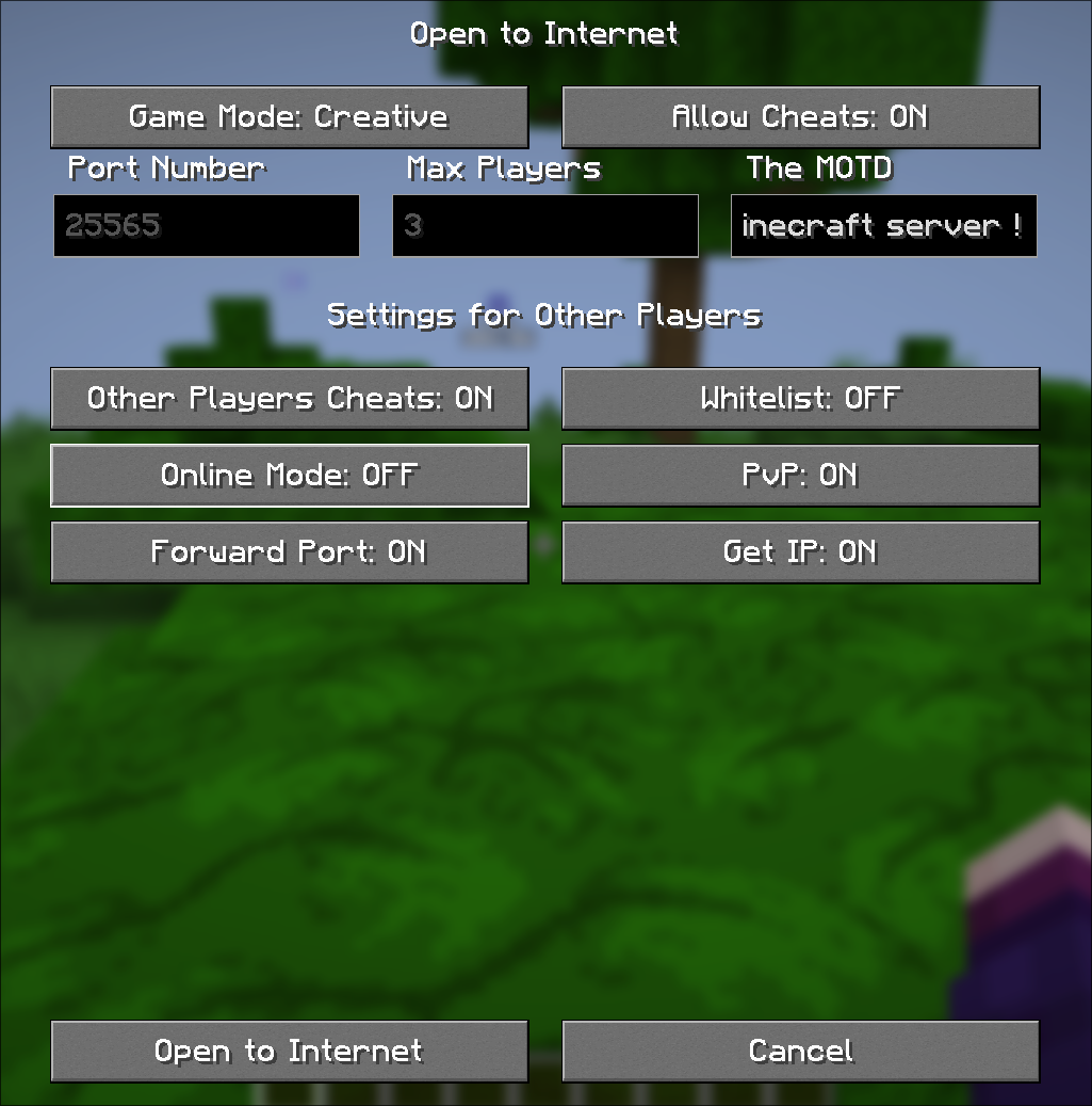 Screenshot of the open to internet menu