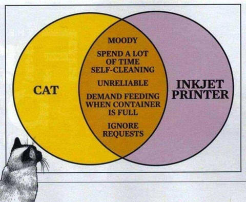 A Venn diagram with two intersecting circles, one is 'Cat' and the other is 'inkjet printer', in the intersection is written 'moody, spend a lot of time self-cleaning, unreliable, demand feeding when container is full, ignore requests' a drawing of the cat is facing the diagaram in the corner