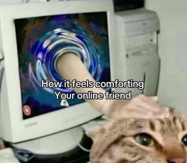 An edited picture that shows a hand coming out of a computer screen to pat a cat with the caption 'How it feels comforting your online friend'